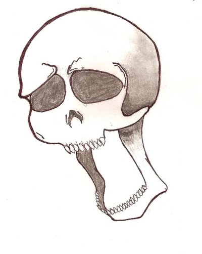 Череп для рисования