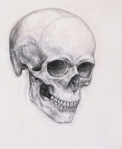 Рисунок черепа