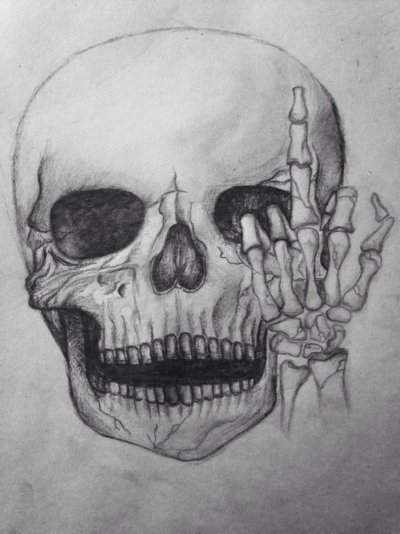 Череп рисунок карандашом