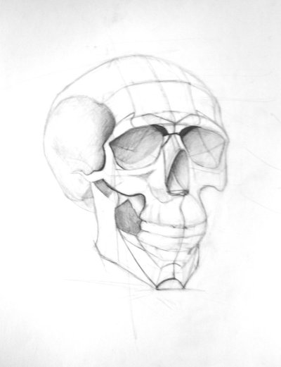 Конструктивный рисунок черепа