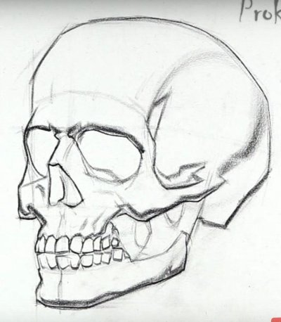 Череп карандашом для срисовки