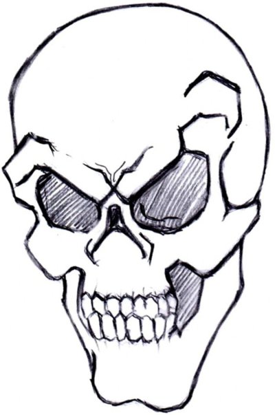 Череп карандашом для срисовки