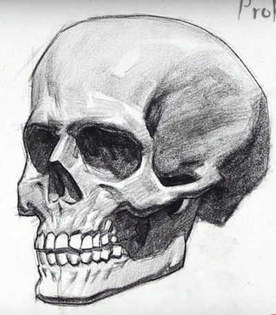 Скетч череп сбоку