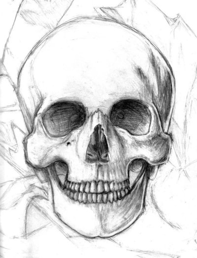 Череп карандашом для срисовки
