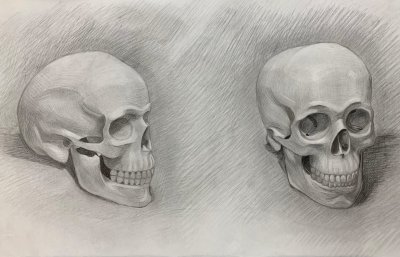 Череп для рисования