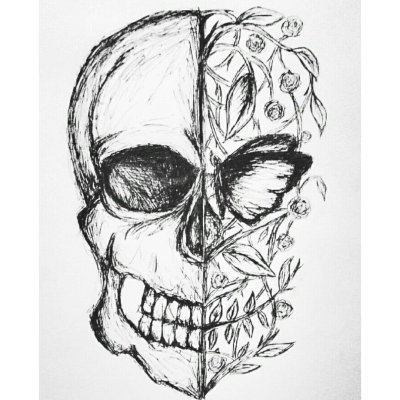 Череп рисунок карандашом для срисовки