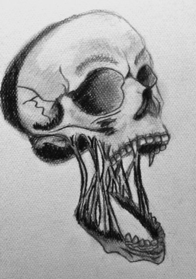 Картинки для срисовки черепа