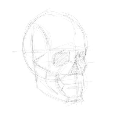 Поэтапное рисование черепа