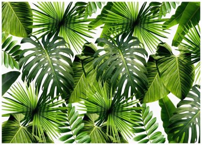 Аффреско пальмовые листья