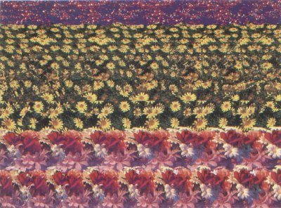 Магия третьего глаза трехмерные стереокартинки Тома Баччи