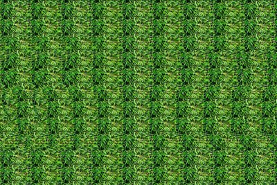 Стереограмма для глаз для начинающих