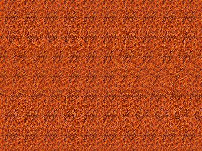 Стереограмма Король Лев