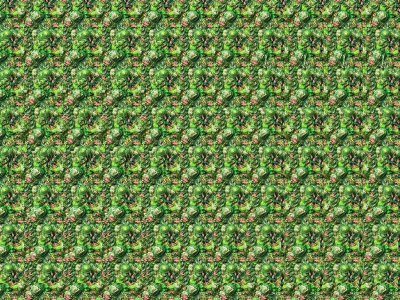 Стереограммы для зрения