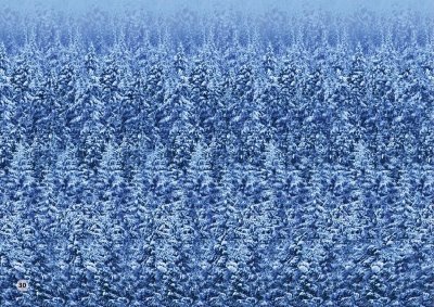 Стереокартинки для тренировки зрения