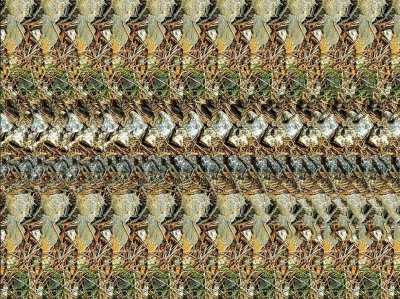 Стереокартинка Будда